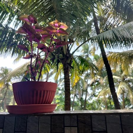 Kumbaya Beachside Hostel & Apartments At Arambol Beach Exterior foto
