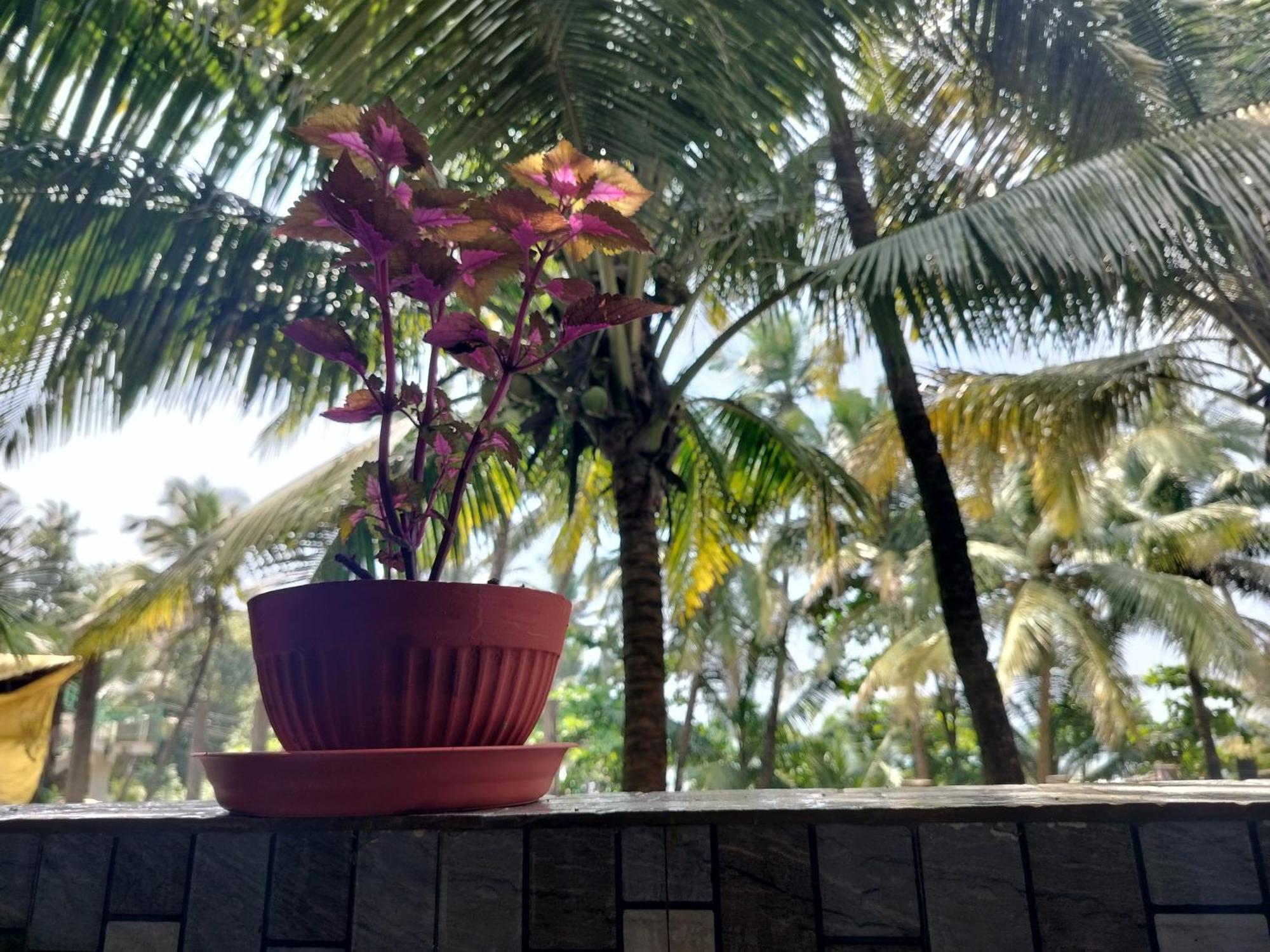 Kumbaya Beachside Hostel & Apartments At Arambol Beach Exterior foto