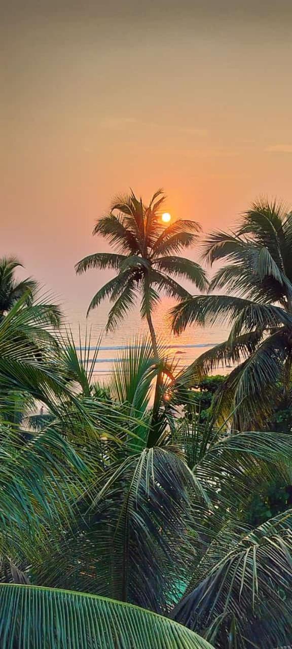 Kumbaya Beachside Hostel & Apartments At Arambol Beach Exterior foto